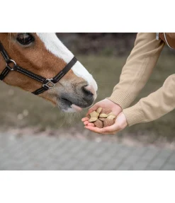 Assortiment de friandises Rêve hivernal