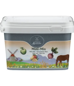 Assortiment de mini-friandises