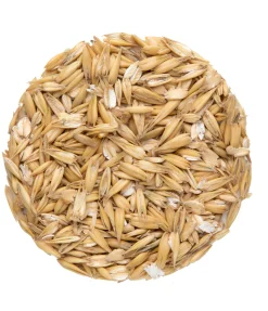 Avoine aplatie BASIC