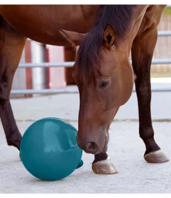 Balle de jeu pour cheval