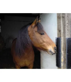 Bande de massage et de brossage