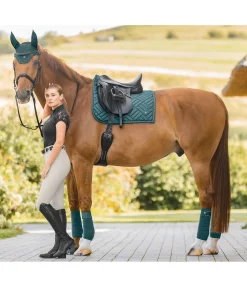 Bandes en polaire Brilliant