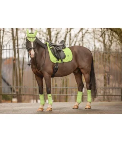 Bandes en polaire Essential