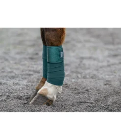 Bandes en polaire Sparkling II