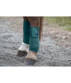 Bandes en polaire Sparkling II