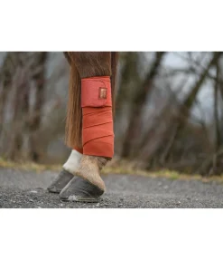 Bandes en polaire Sparkling II