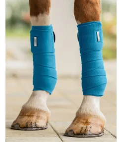 Bandes en polaire Swiss Design