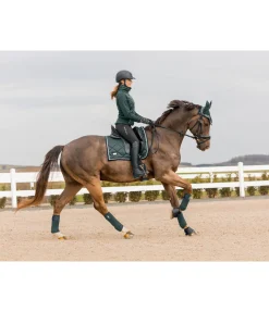 Bandes en polaire Swiss Design