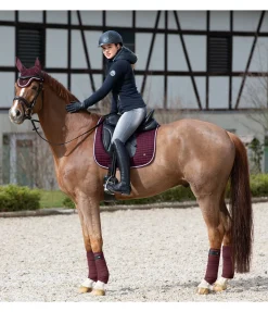 Bandes polaire Basic