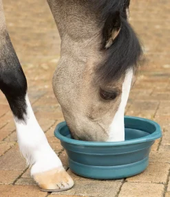 Bol à muesli pliable