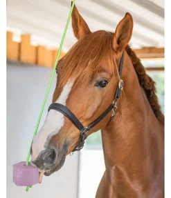 Bonbon à lécher Cerise