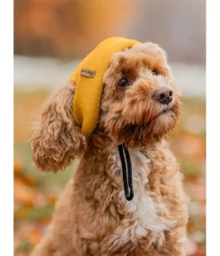 Bonnet pour chien Evin
