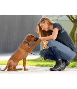 Bottines Impact II CX