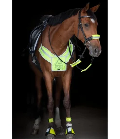 Bricole réfléchissante