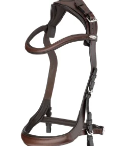 Bridon Anatomical Vision Space