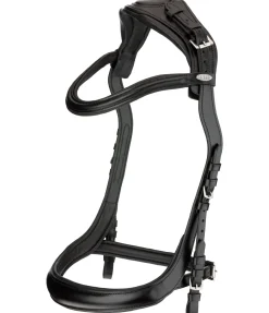 Bridon Anatomical Vision Space