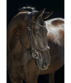 Bridon Comfort Space