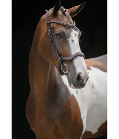 Bridon Comfort Space