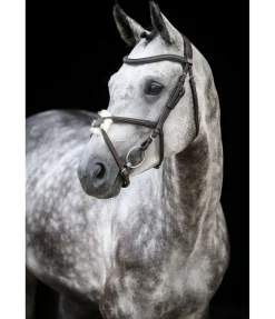 Bridon avec muserolle croisée Diabolo