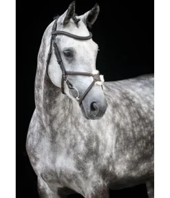 Bridon avec muserolle croisée Diabolo