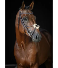 Bridon avec muserolle croisée Stitch