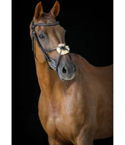 Bridon avec muserolle croisée Stitch