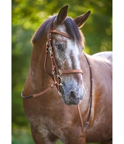 Bridon de randonnée Nevada