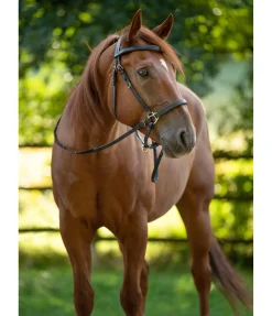Bridon de randonnée Nevada