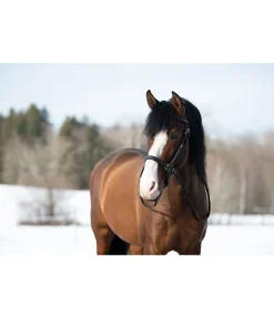 Bridon de randonnée Nevada