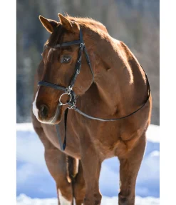 Bridon de randonnée Nevada