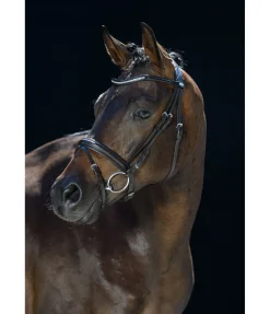 Bridon FELIX BÜHLER Classy Comfort