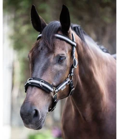 Bridon multifonction