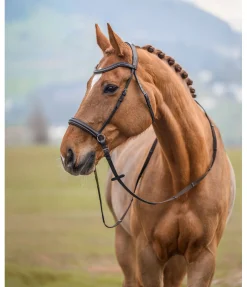 Bridon sans embouchure Gentle Connection