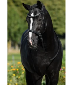 Bridon sans embouchure Gentle Connection