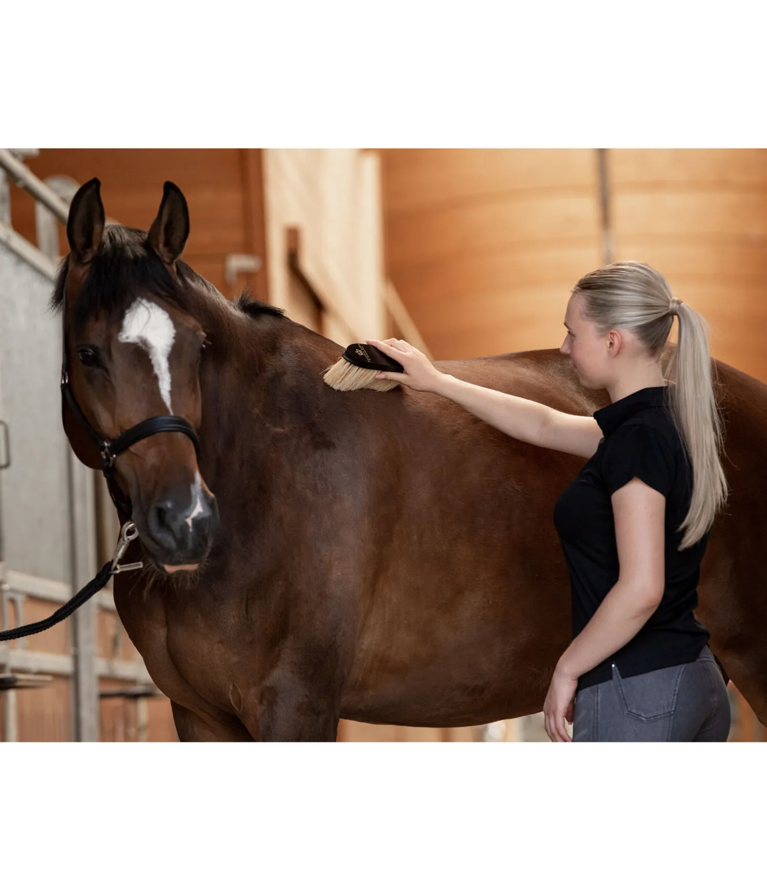 Brosse anti-poussière