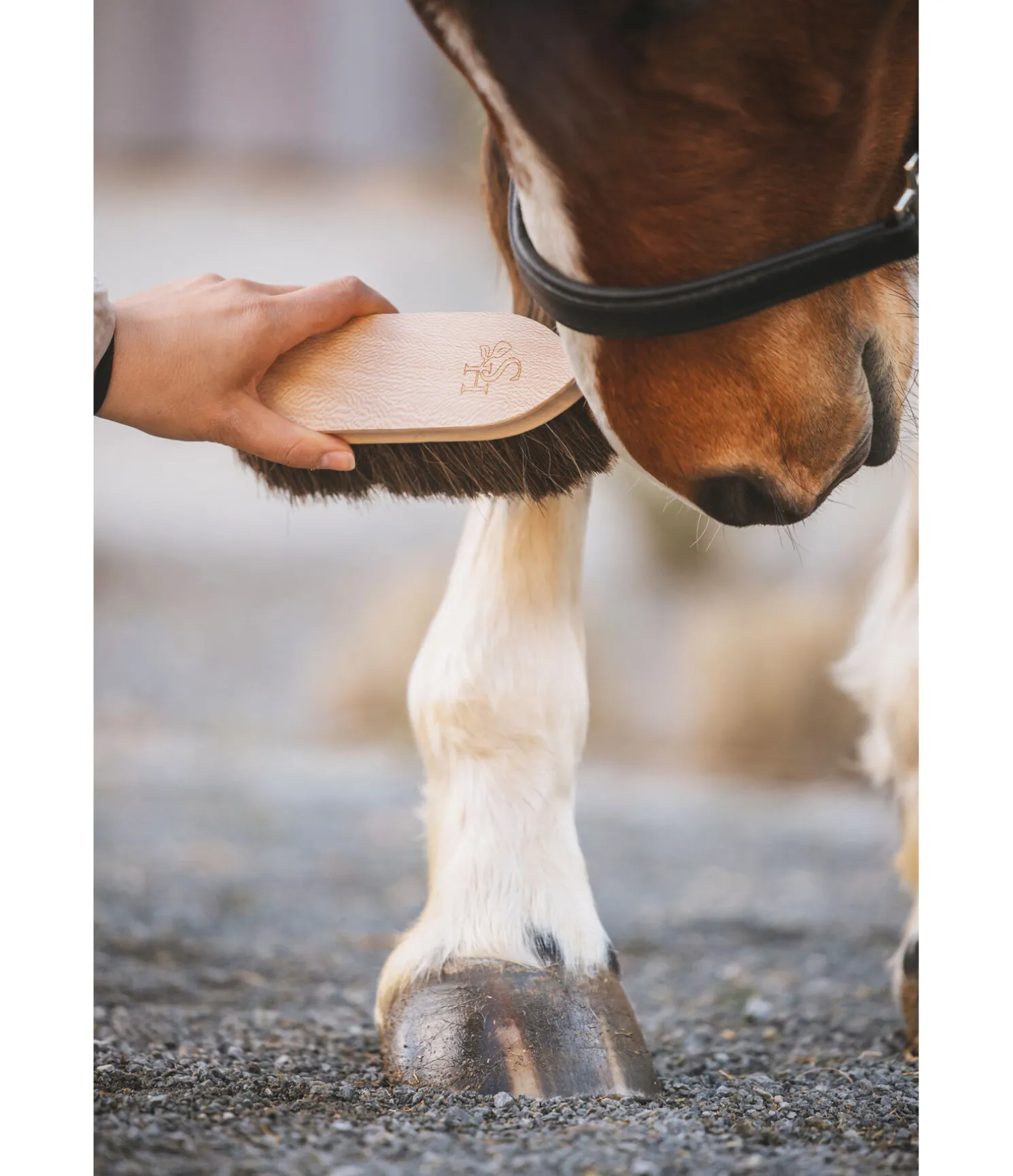 Brosse anti-poussière Flora