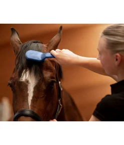 Brosse pour crins Soft