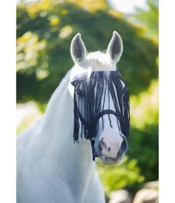 Chasse-mouches à prix économique