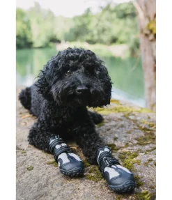 Chaussons pour chien Dubai