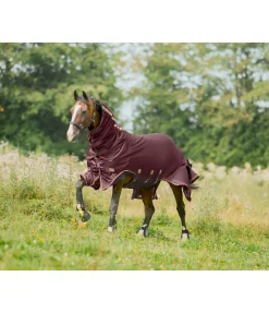 Chemise anti-mouches avec couvre-cou amovible Timeless Elegance