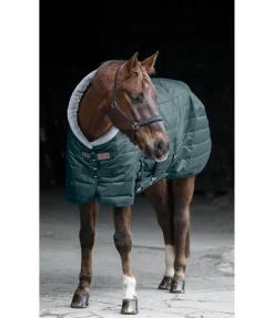 Chemise d'écurie Stay Cosy