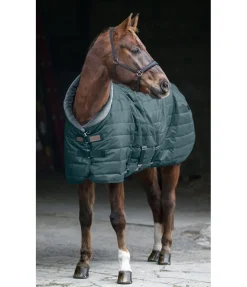 Chemise d'écurie Stay Cosy