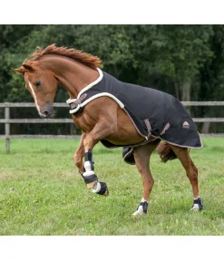 Chemise de marcheur Ceramic Rehab