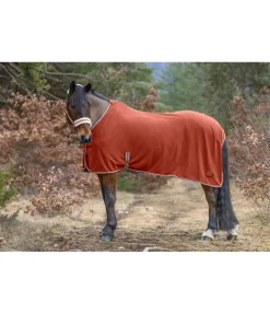 Chemise séchante technique en polaire Essential