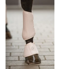 Cloches Dressage-Derby