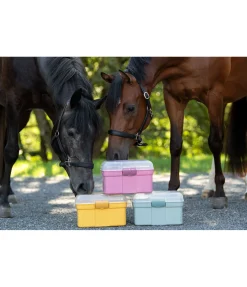 Coffre de pansage Oslo