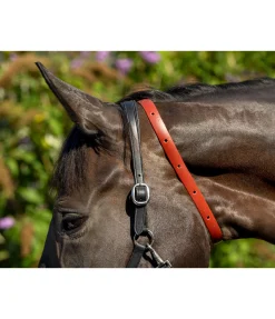 Collier anti-parasites pour cheval
