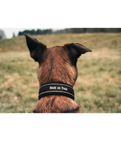 Collier anti-traction pour chien Charlie