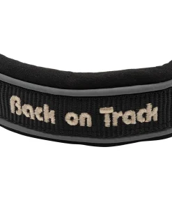 Collier anti-traction pour chien Charlie