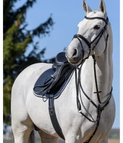 Collier de chasse élastique Parcours